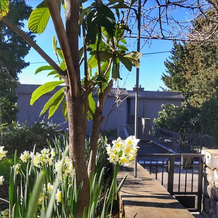 Matejcic Lejlighed *