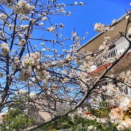 Lejlighed Matejcic *