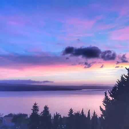 Matejcic ツリクヴェニツァ