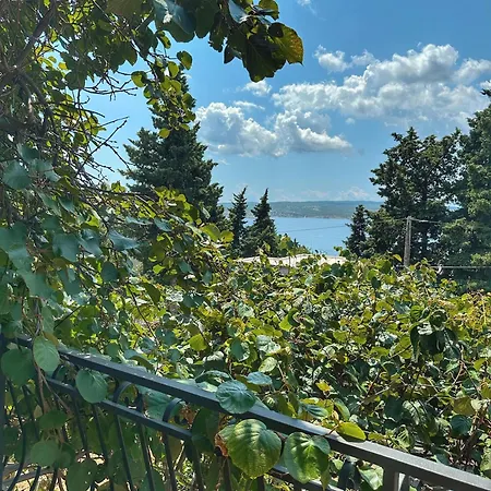 Matejcic Lejlighed *