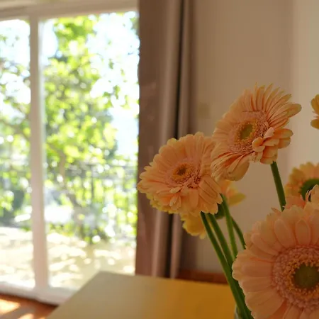 Apartment Matejcic Crikvenica
